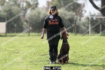 IMG_6720.jpg