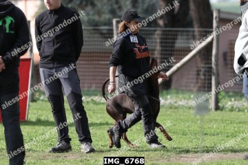 IMG_6768.jpg
