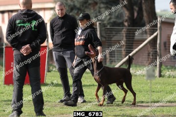 IMG_6783.jpg