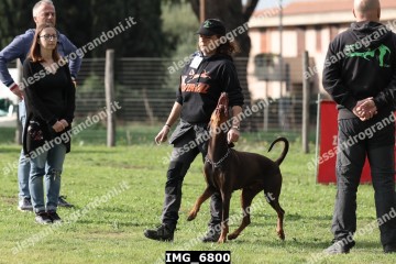 IMG_6800.jpg