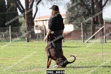 IMG_6820.jpg