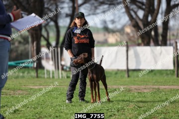 IMG_7755.jpg