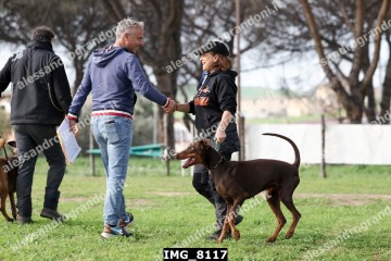 IMG_8117.jpg