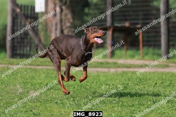 IMG_8923.jpg