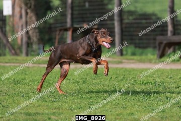 IMG_8926.jpg