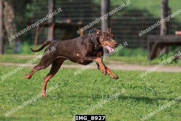 IMG_8927.jpg