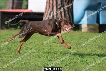 IMG_8938.jpg