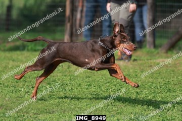 IMG_8949.jpg