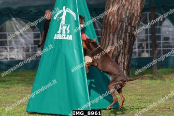 IMG_8961.jpg