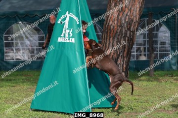 IMG_8968.jpg