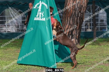 IMG_8970.jpg