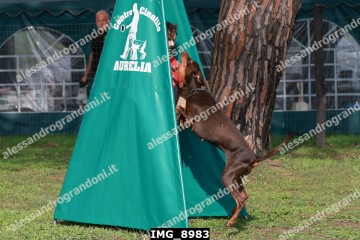 IMG_8983.jpg