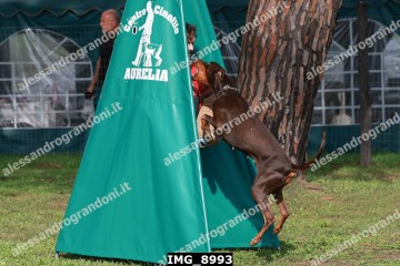 IMG_8993.jpg