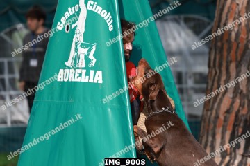 IMG_9008.jpg