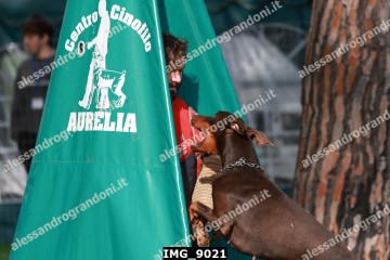 IMG_9021.jpg