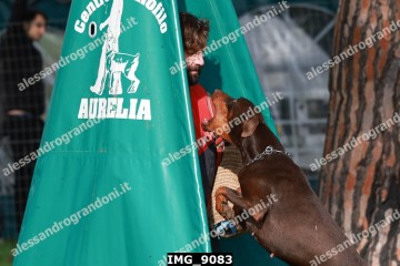 IMG_9083.jpg