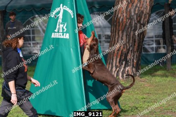 IMG_9121.jpg