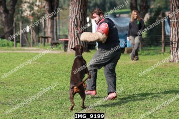 IMG_9199.jpg