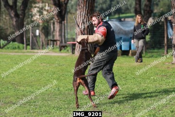 IMG_9201.jpg