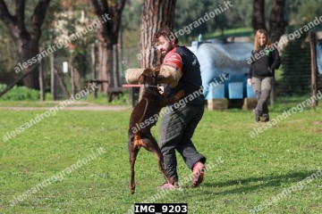 IMG_9203.jpg