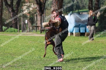 IMG_9205.jpg