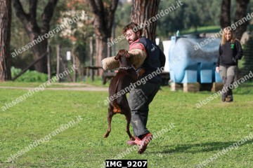 IMG_9207.jpg