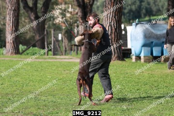 IMG_9212.jpg