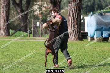 IMG_9215.jpg