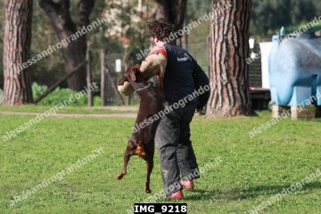 IMG_9218.jpg