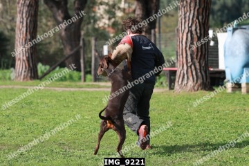 IMG_9221.jpg