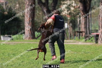 IMG_9224.jpg