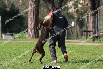 IMG_9228.jpg