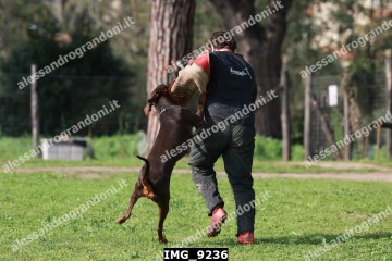 IMG_9236.jpg