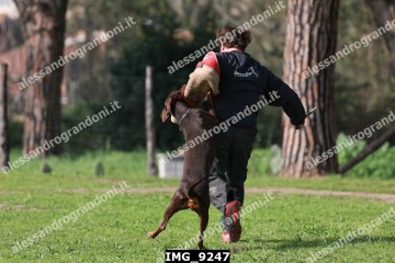 IMG_9247.jpg