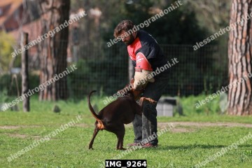 IMG_9264.jpg
