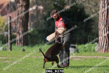 IMG_9270.jpg