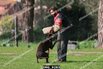 IMG_9283.jpg