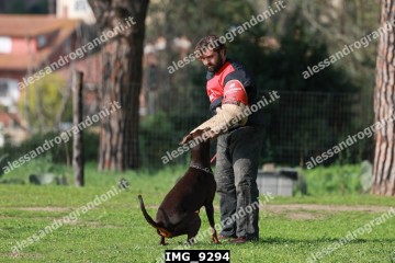 IMG_9294.jpg