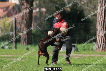 IMG_9306.jpg