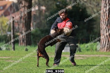 IMG_9308.jpg