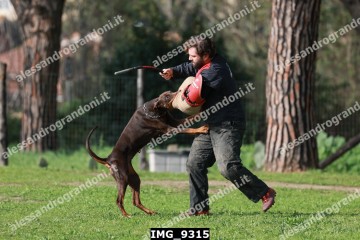 IMG_9315.jpg
