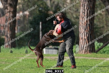 IMG_9317.jpg