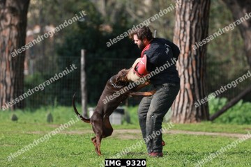 IMG_9320.jpg