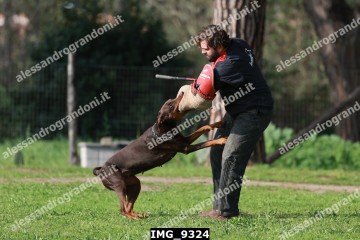 IMG_9324.jpg