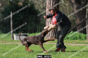 IMG_9327.jpg