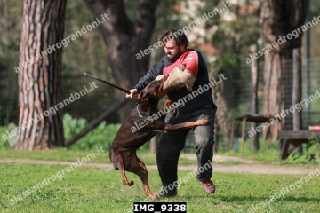 IMG_9338.jpg