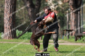 IMG_9339.jpg