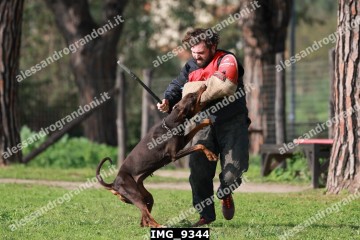 IMG_9344.jpg