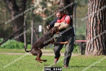 IMG_9348.jpg