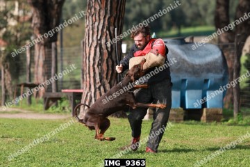 IMG_9363.jpg